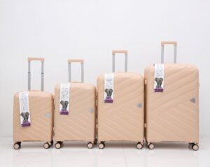 PP luggage
